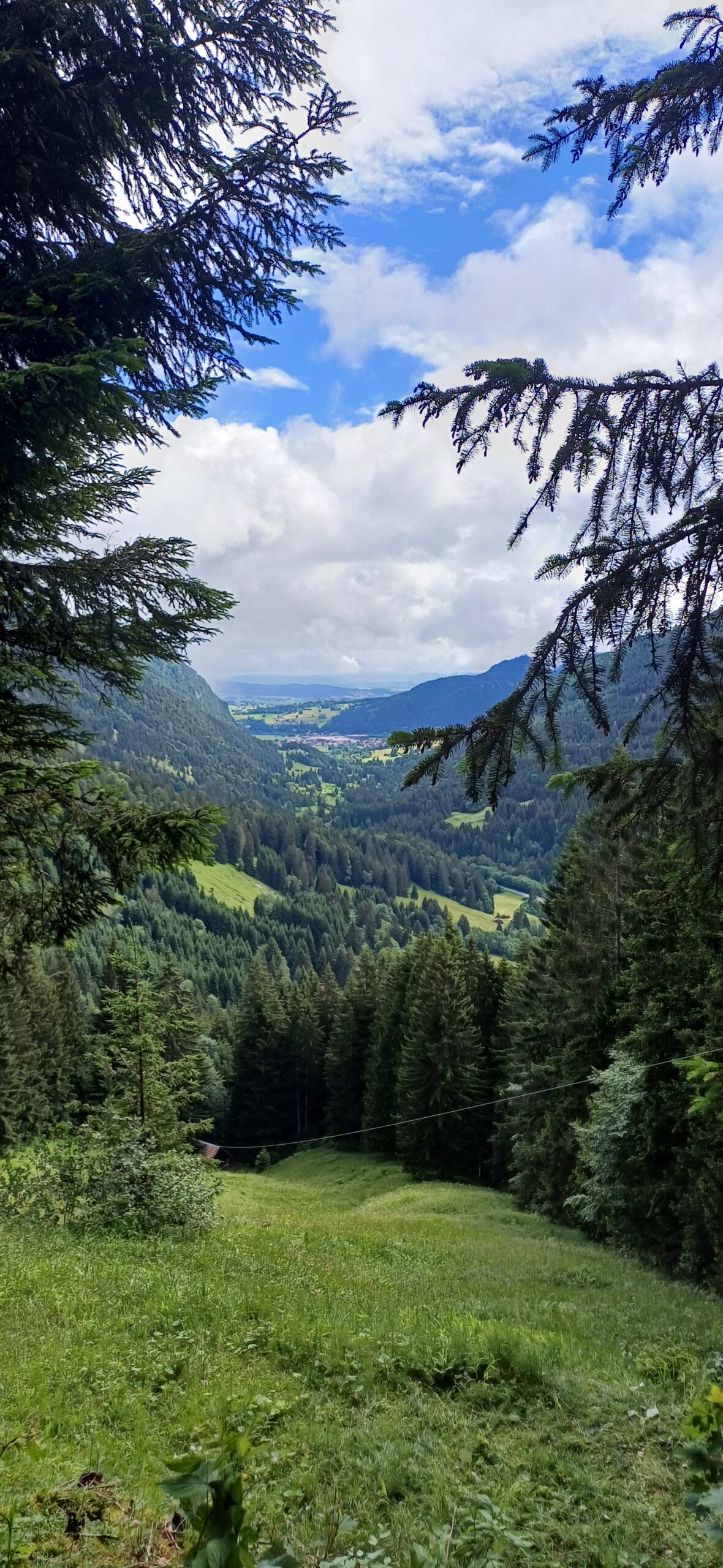 20240703_103041