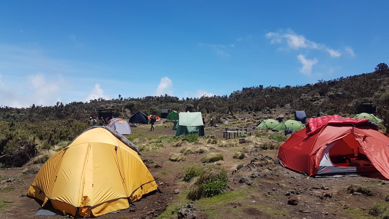 IMG-20190217-WA0008