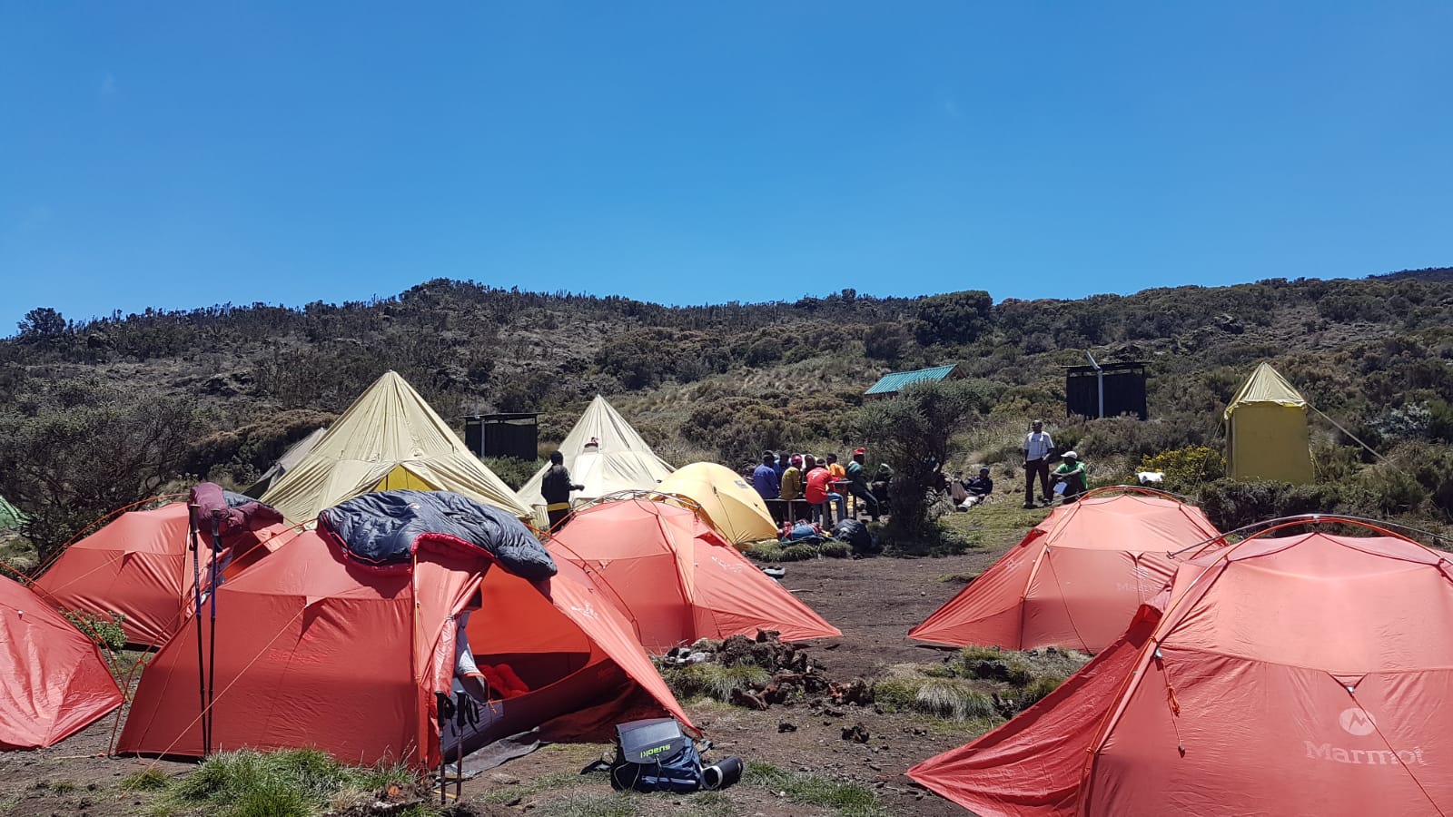 IMG-20190217-WA0009