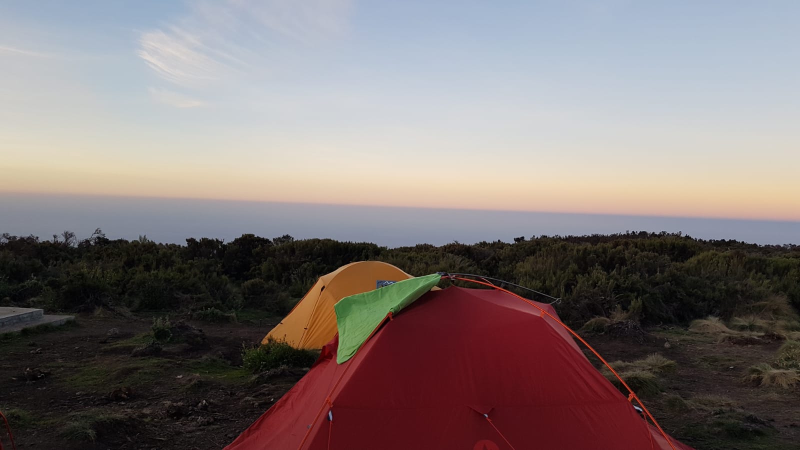 IMG-20190217-WA0013