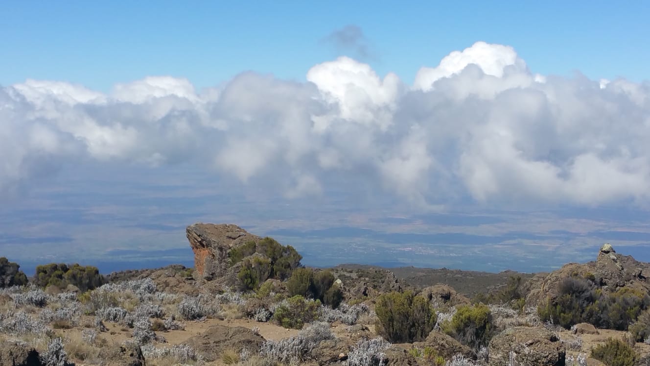 IMG-20190217-WA0057
