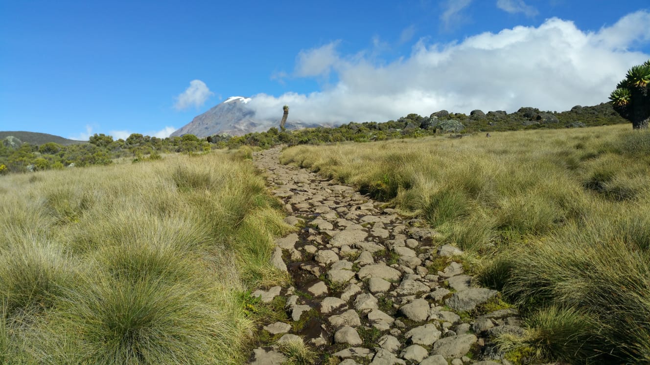 IMG-20190217-WA0068
